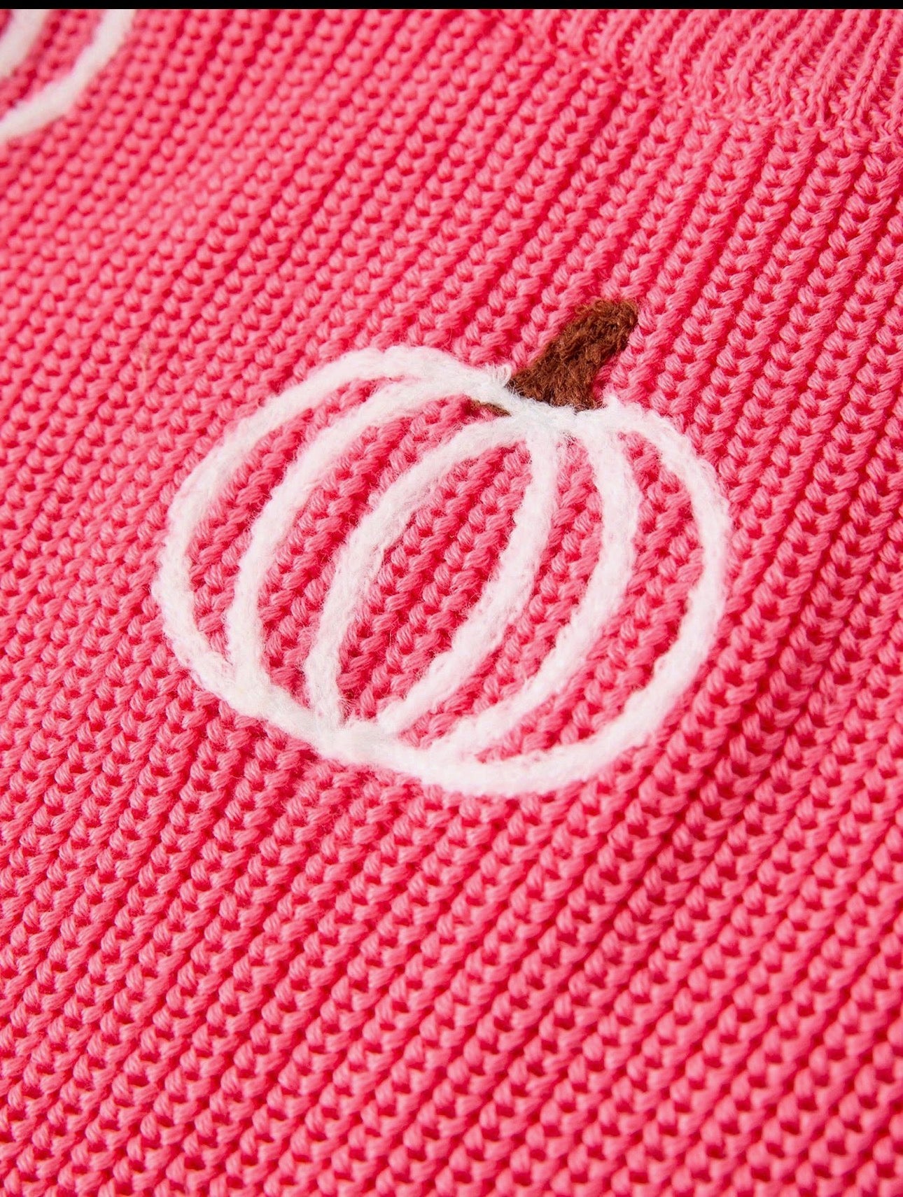 Pumpkin Pink Pullover Sweater 